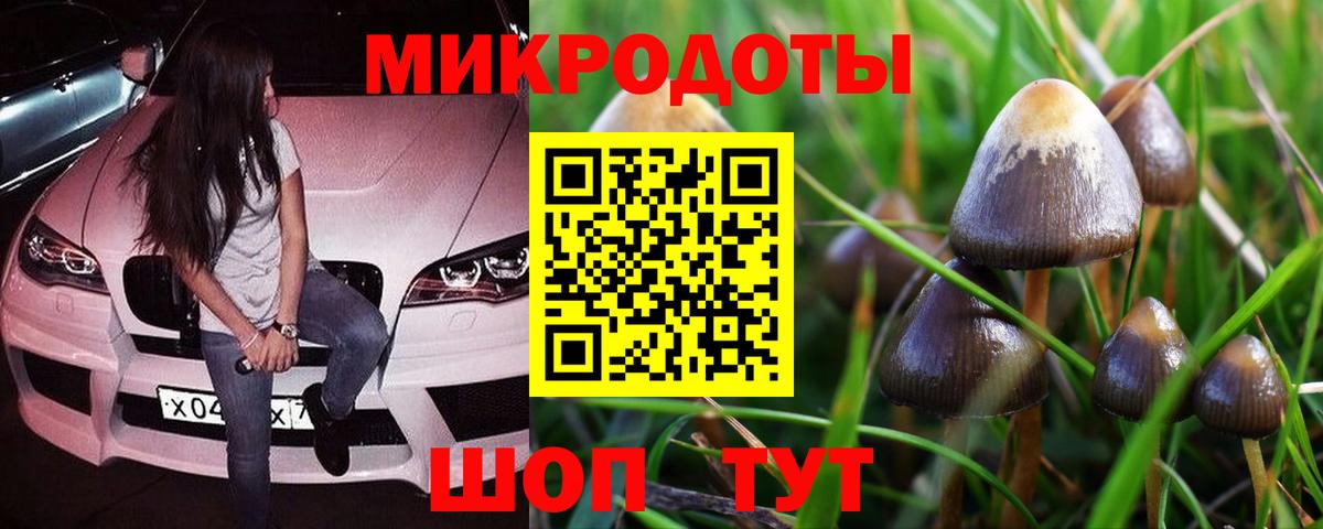 Псилоцибиновые грибы Magic Shrooms  Вход с VPN  где купить наркоту  Кореновск 